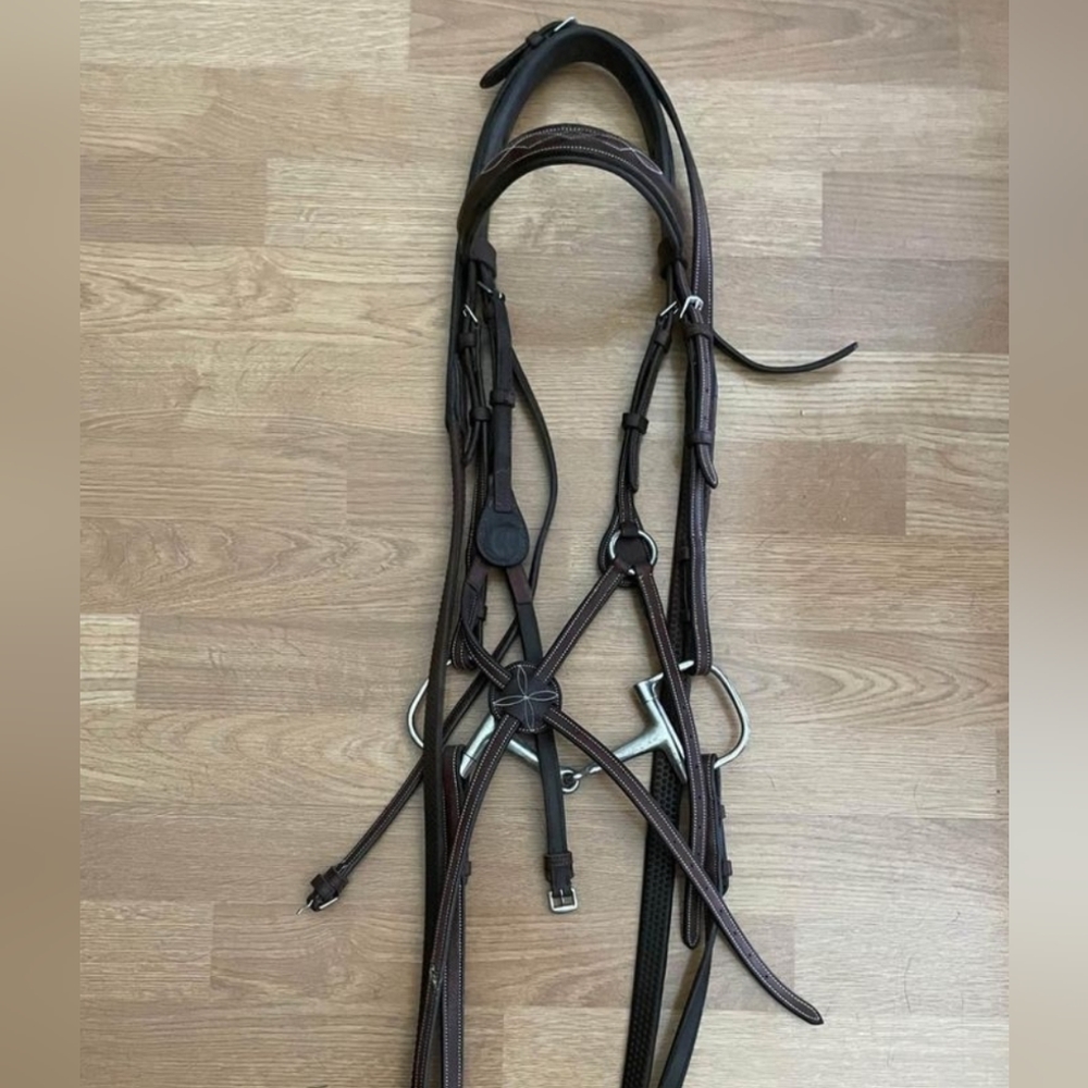Figure 8 Bridle Cob with Snaffle Bit